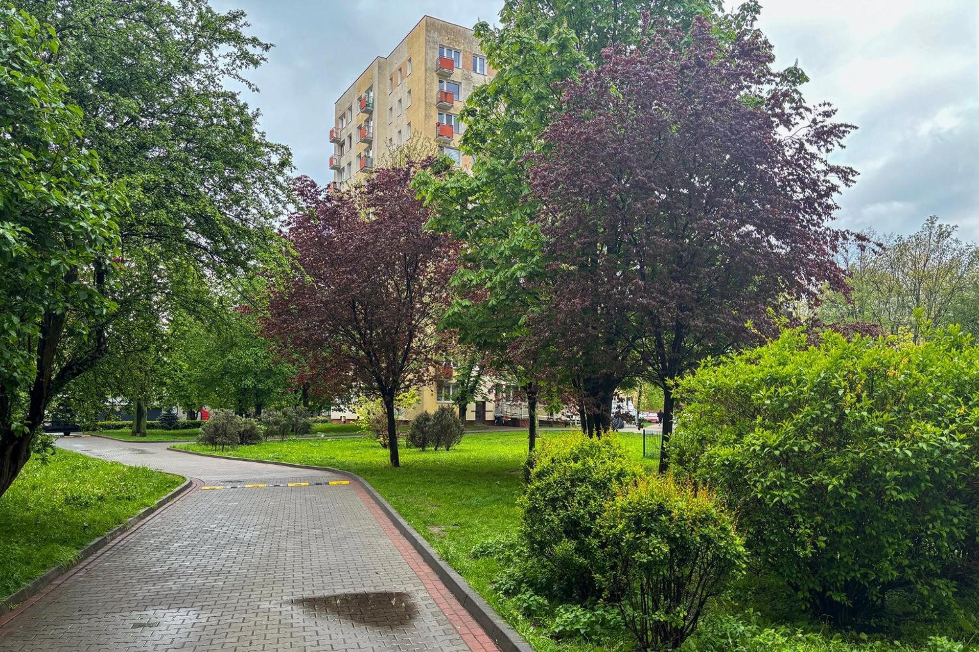 Rentplanet - Miedzynarodowa Warsaw